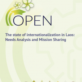 OPEN Needs Analysis Report